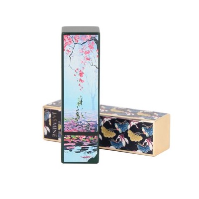 Square Lipstick Tube Luxury Cosmetics Packaging Plastic